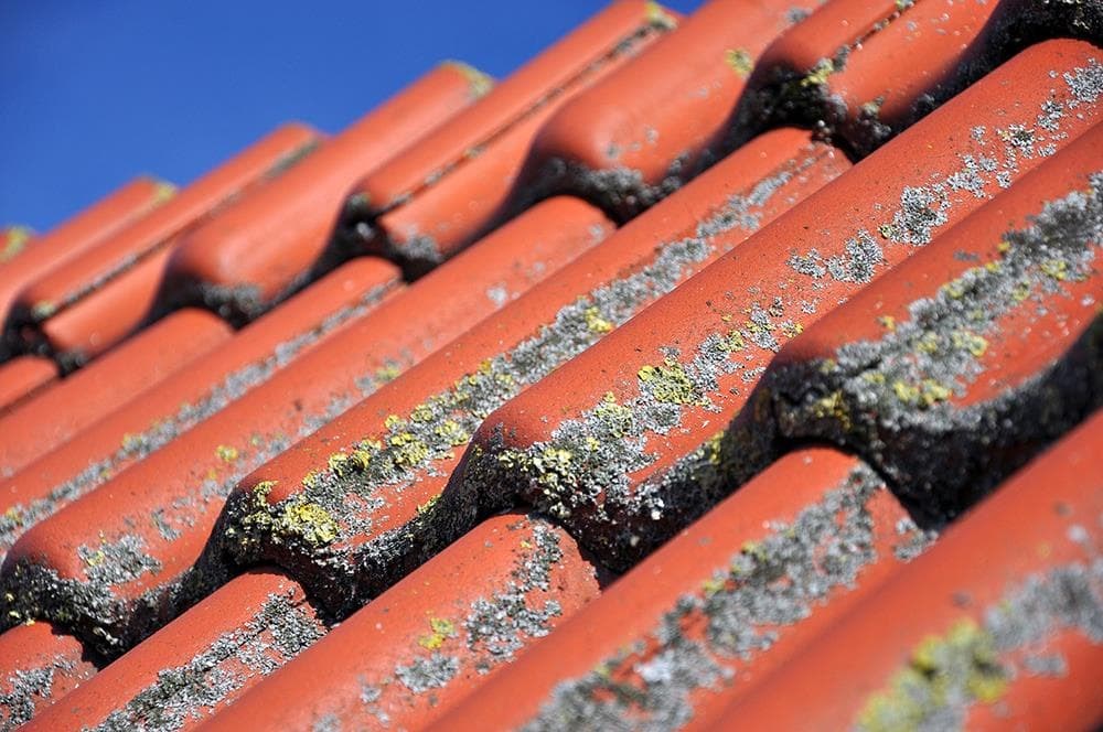 ¿Por qué es importante el mantenimiento de tu tejado?